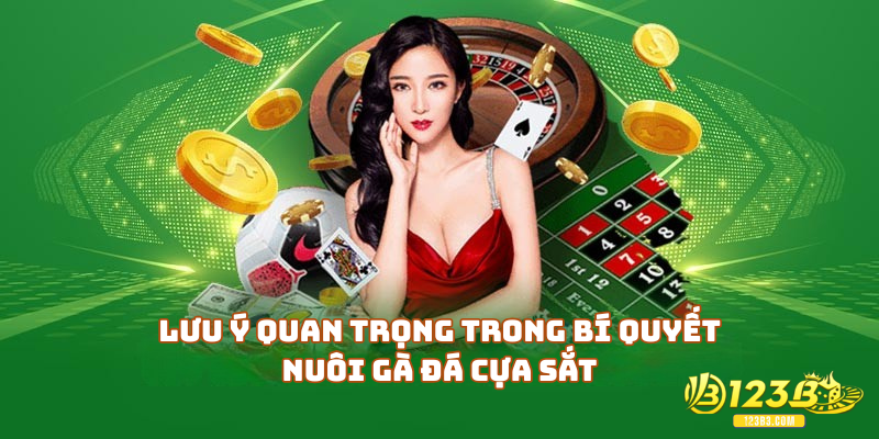 Lưu ý quan trọng trong bí quyết nuôi gà đá cựa sắt
