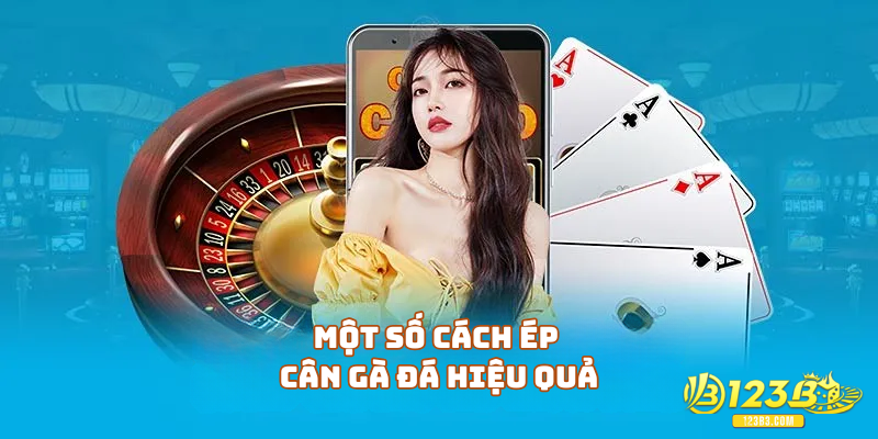 Một số cách ép cân gà đá hiệu quả