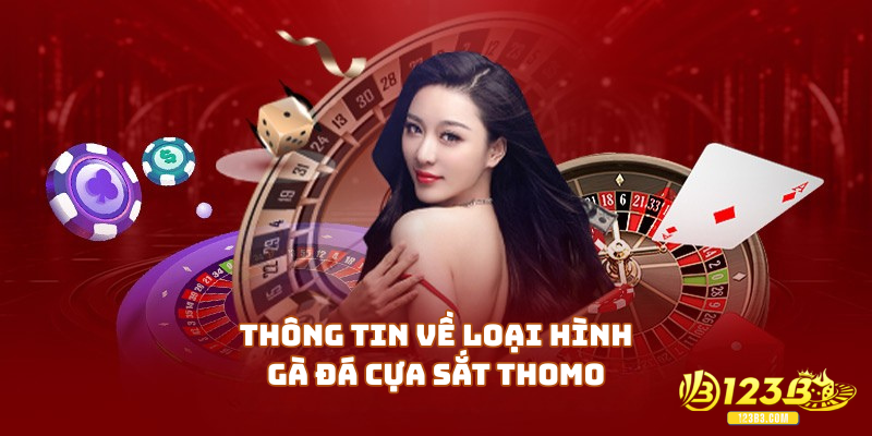 Thông tin về loại hình gà đá cựa sắt Thomo