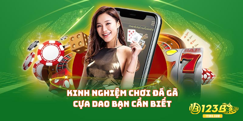Kinh nghiệm chơi đá gà cựa dao bạn cần biết